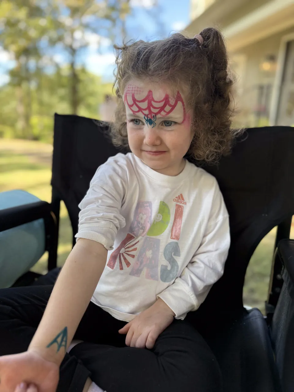 Face painting by Goldilocks Facepaints